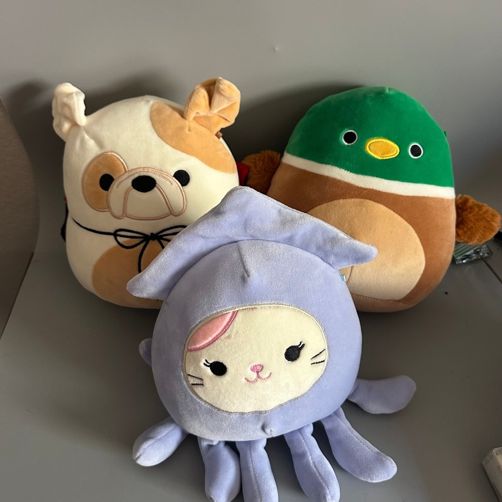 Squishmallows Bundle Avery Mallard Duck Brock Bulldog Cat Squid Plush 3pk